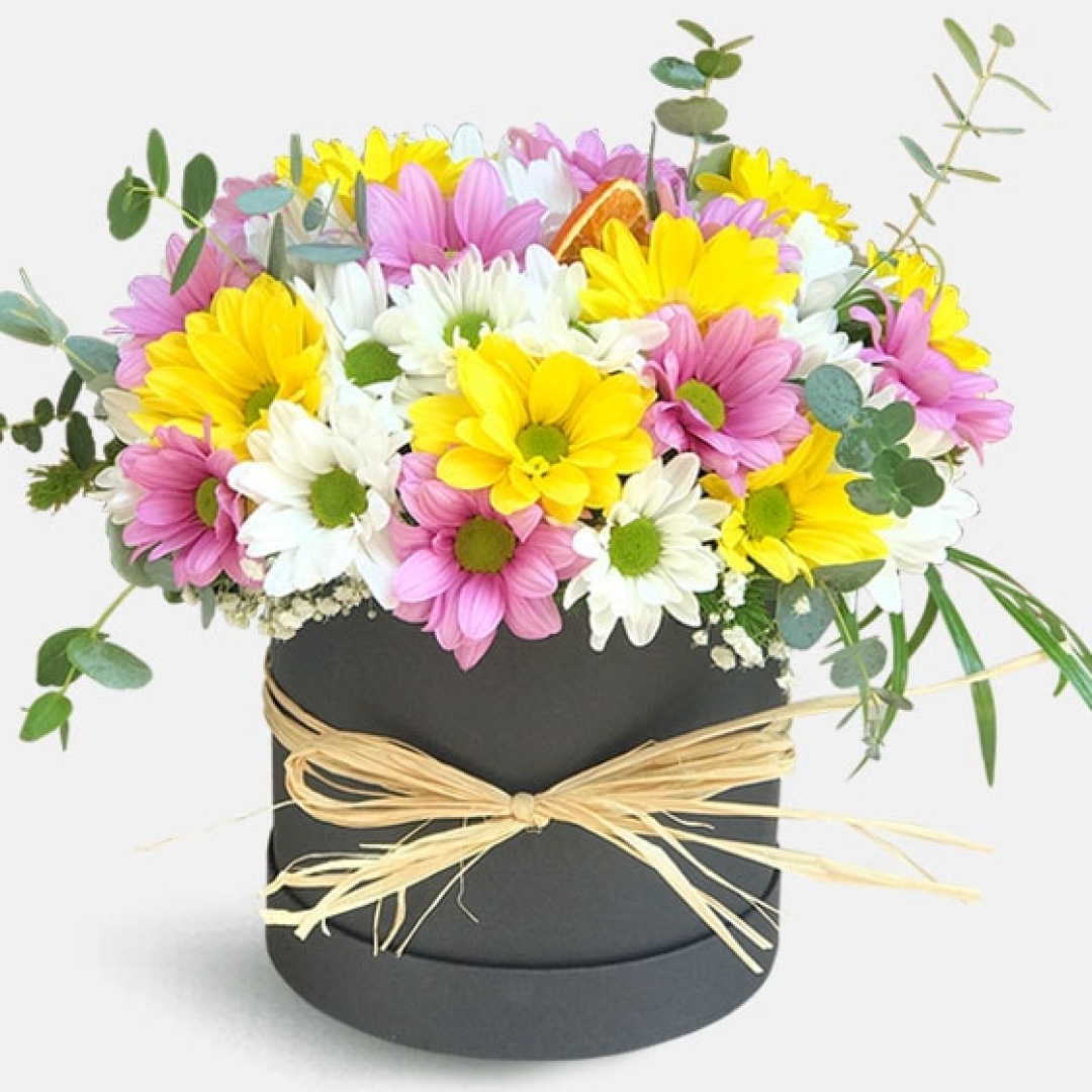 Kutuda Renkli papatyalar